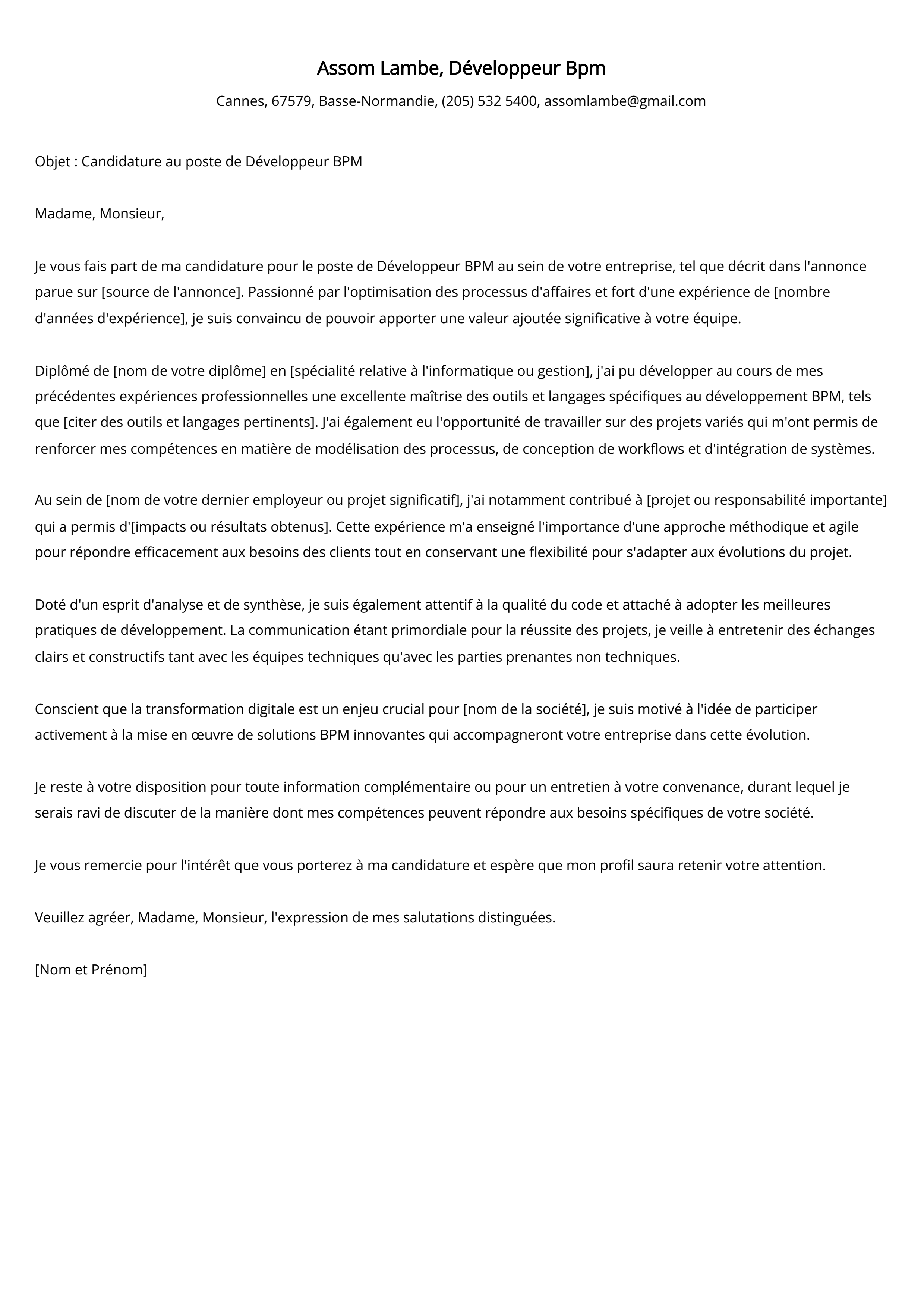 Développeur Bpm Cover Letter Example