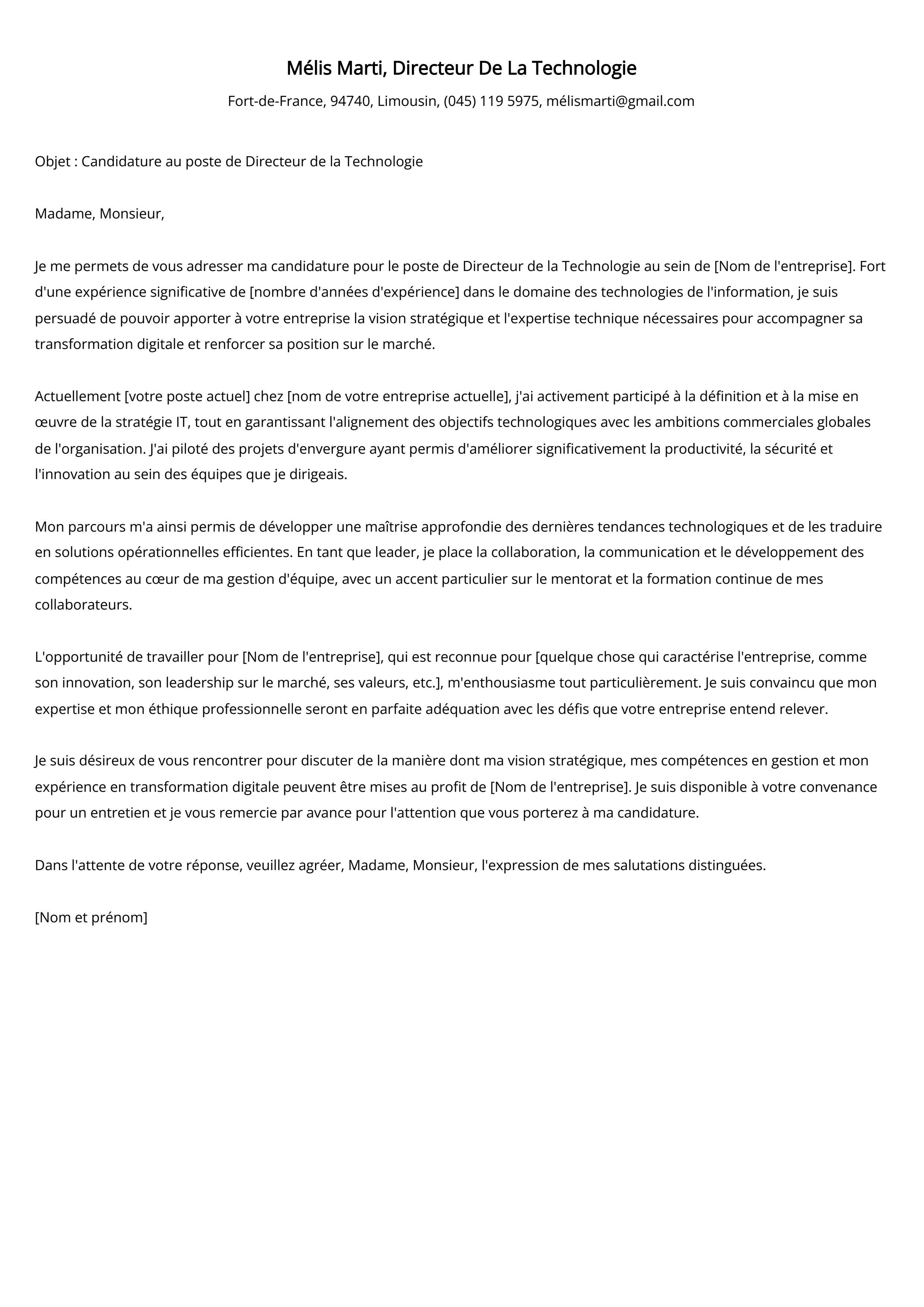 Directeur De La Technologie Cover Letter Example