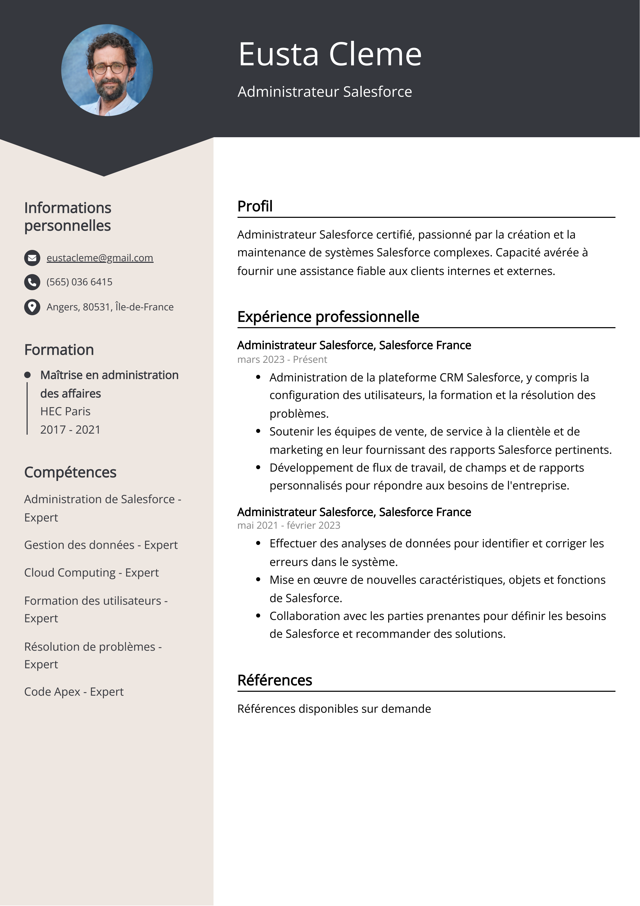 Administrateur Salesforce Resume Example