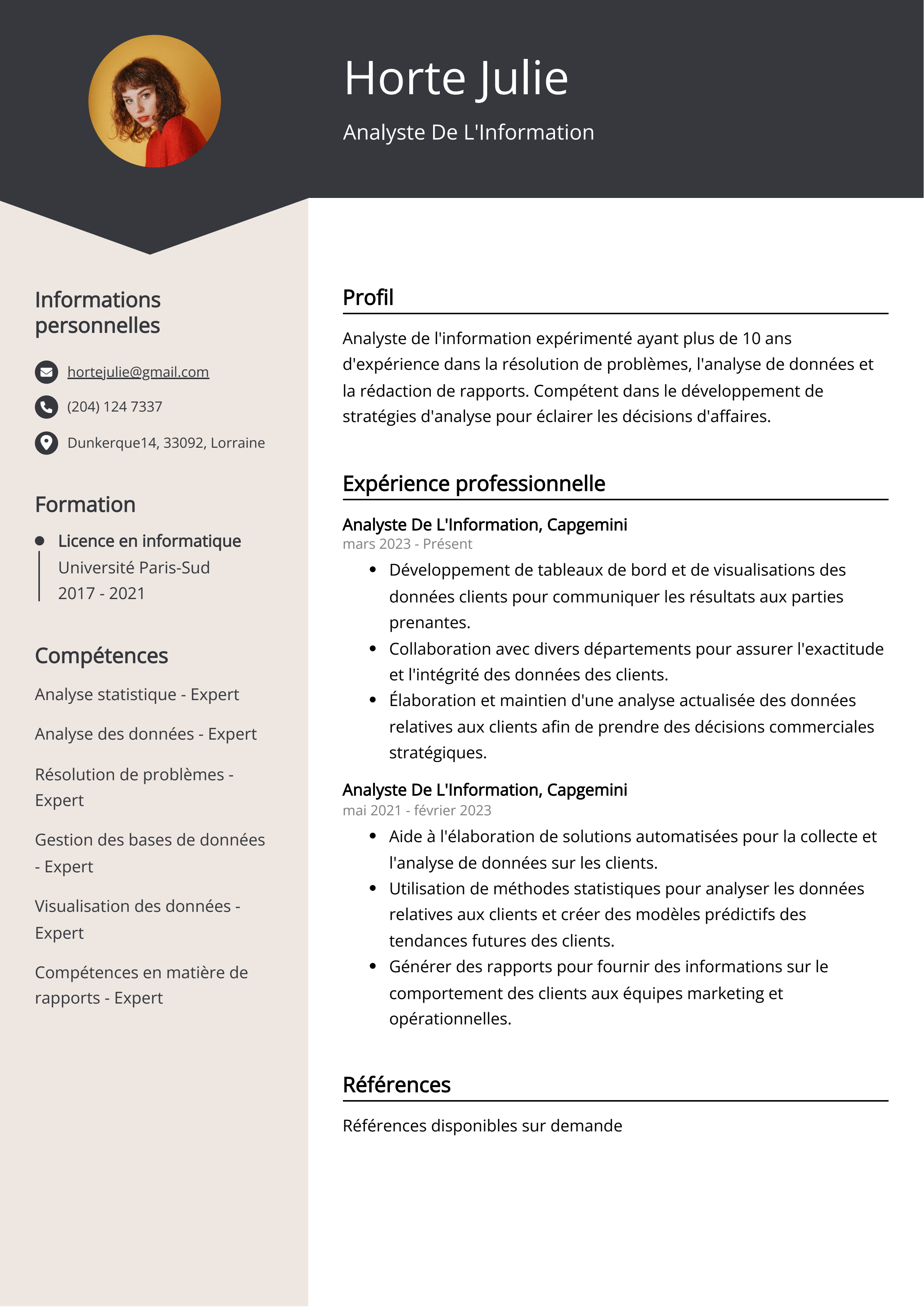 Analyste de l'information Exemple de CV