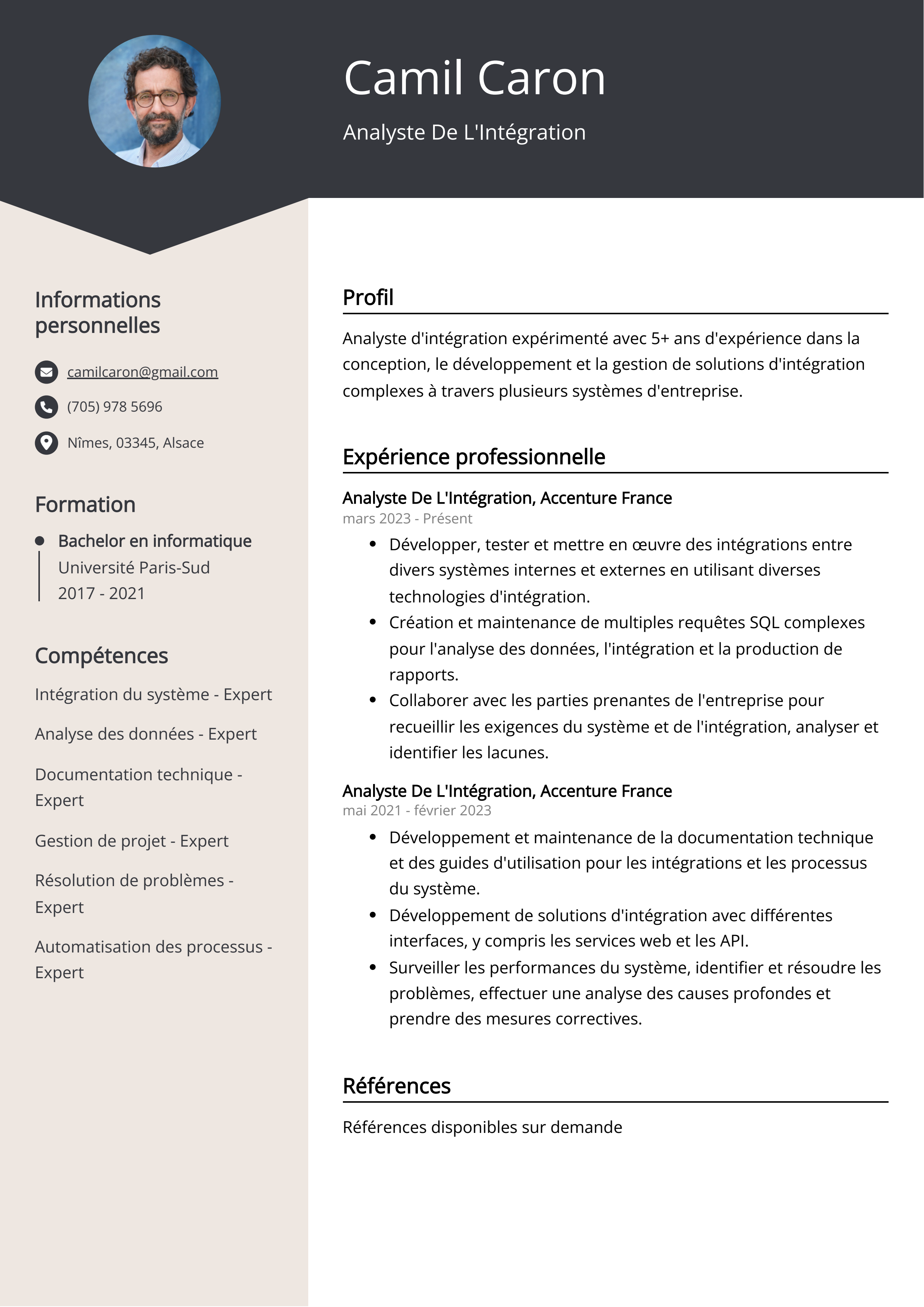 Analyste de l'intégration Exemple de CV