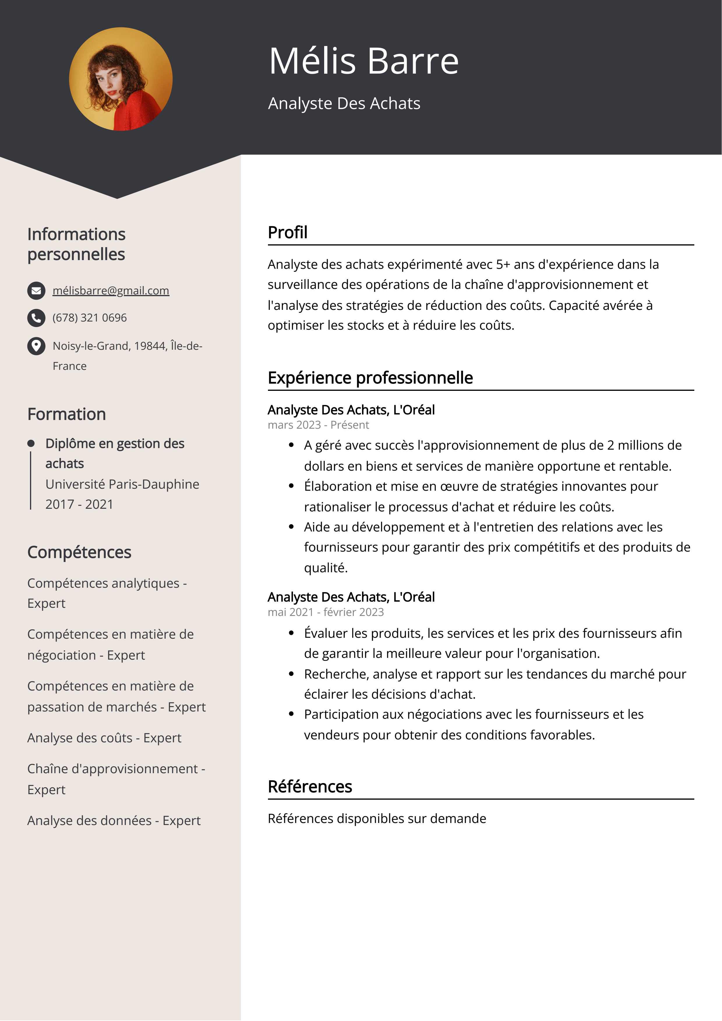 Analyste Des Achats Exemple de CV