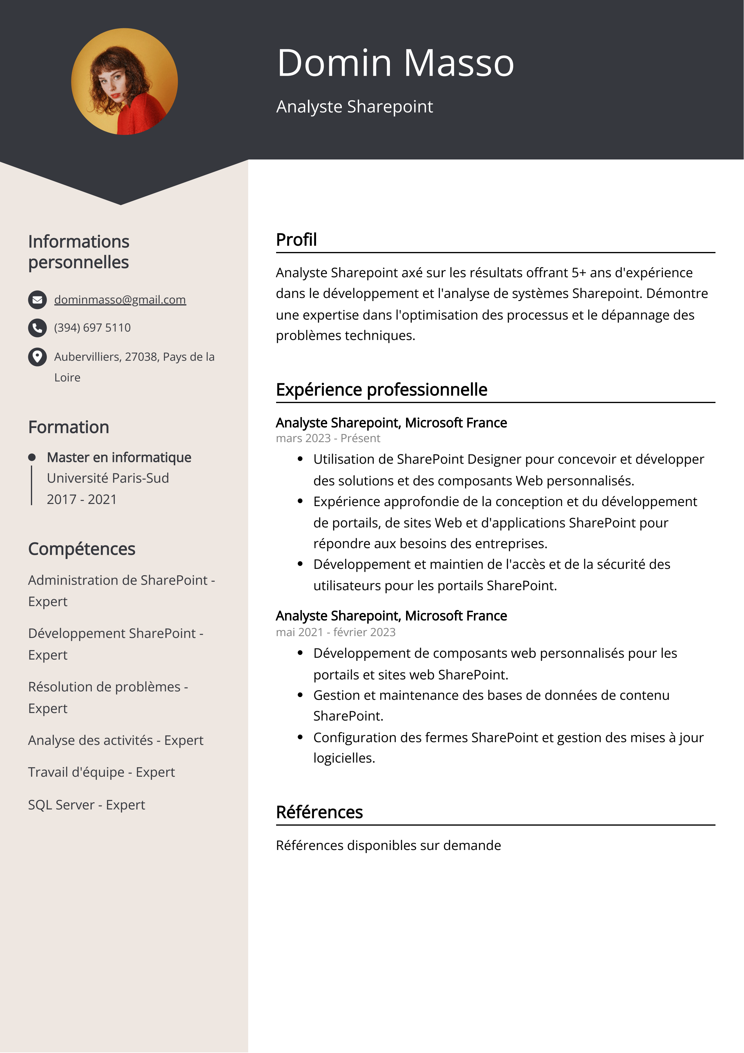 Exemple de CV d'analyste Sharepoint