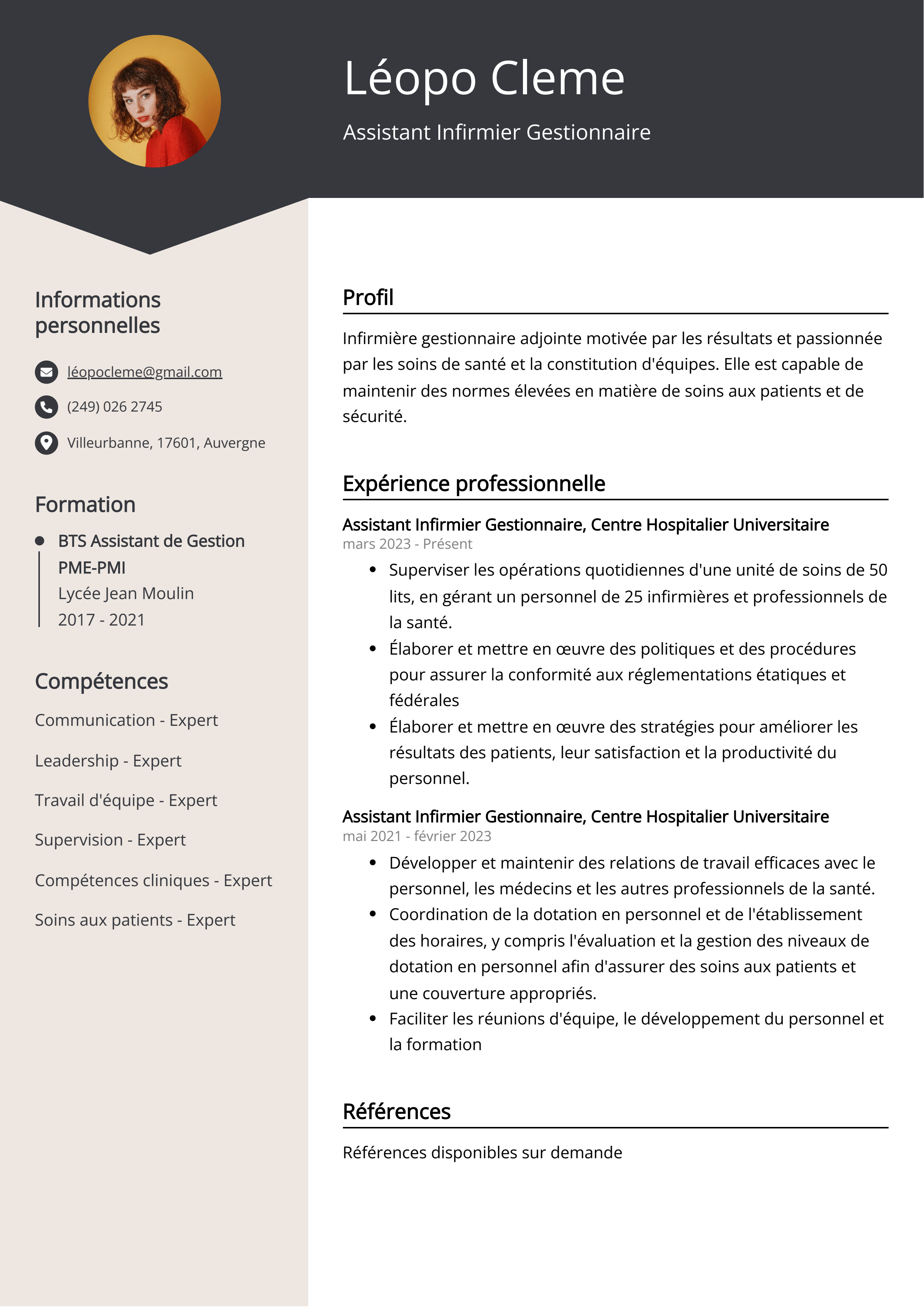 Assistant Infirmier Gestionnaire Exemple de CV