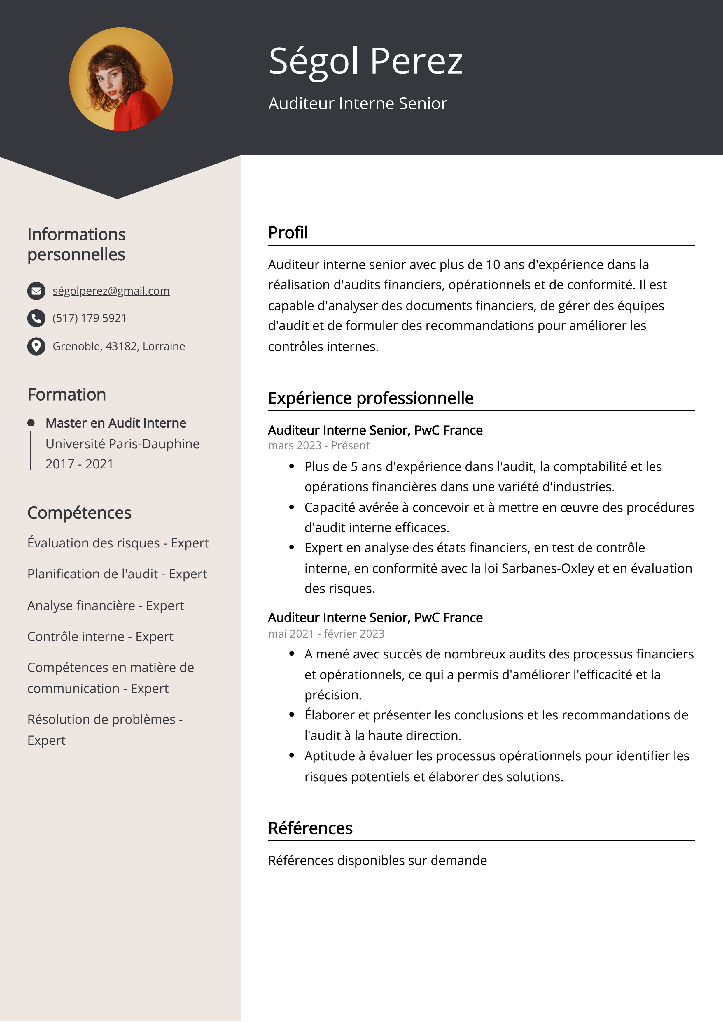 Auditeur Interne Senior Resume Example