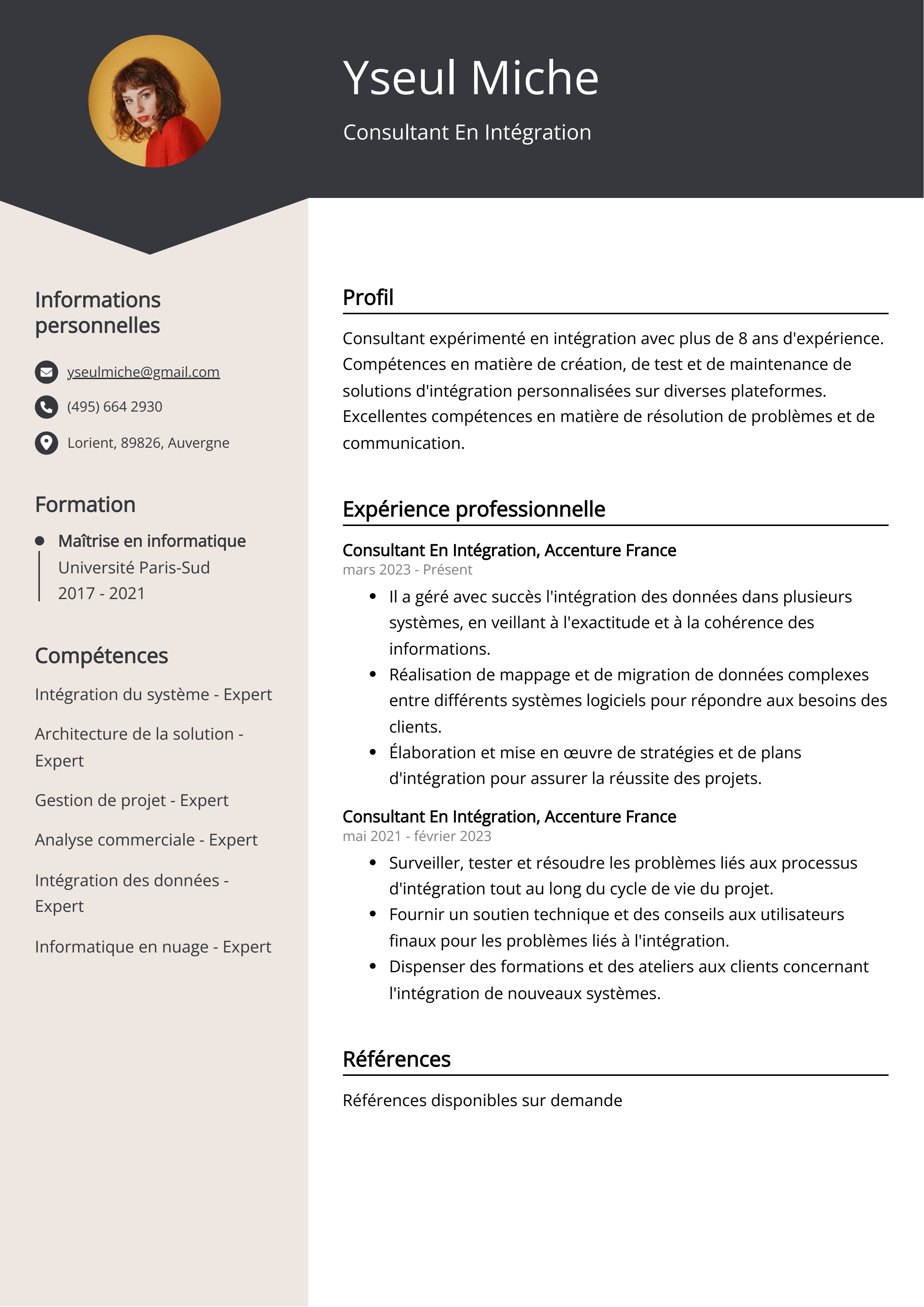 Exemple de CV de consultant en intégration