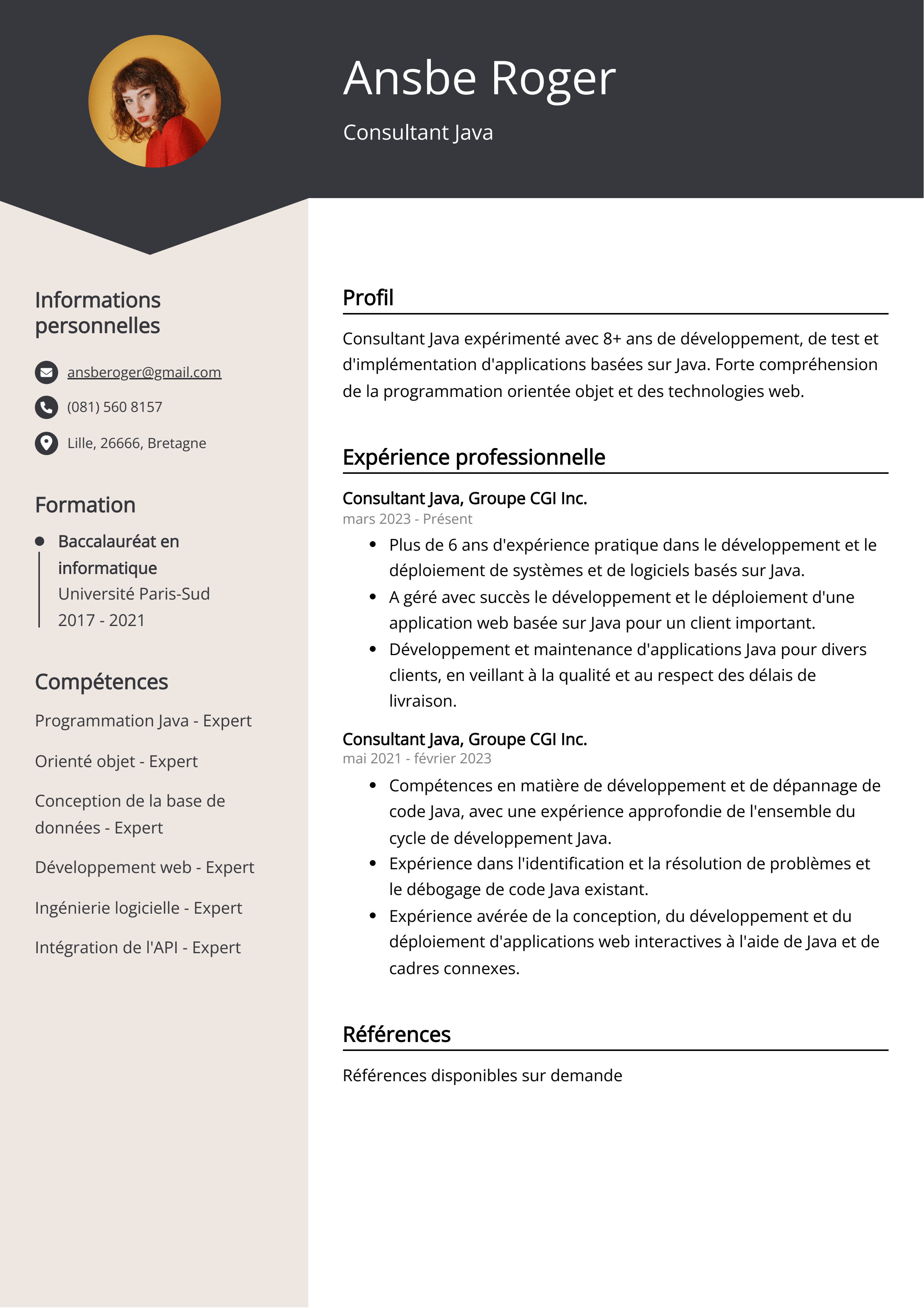 Exemple de curriculum vitae d'un consultant Java