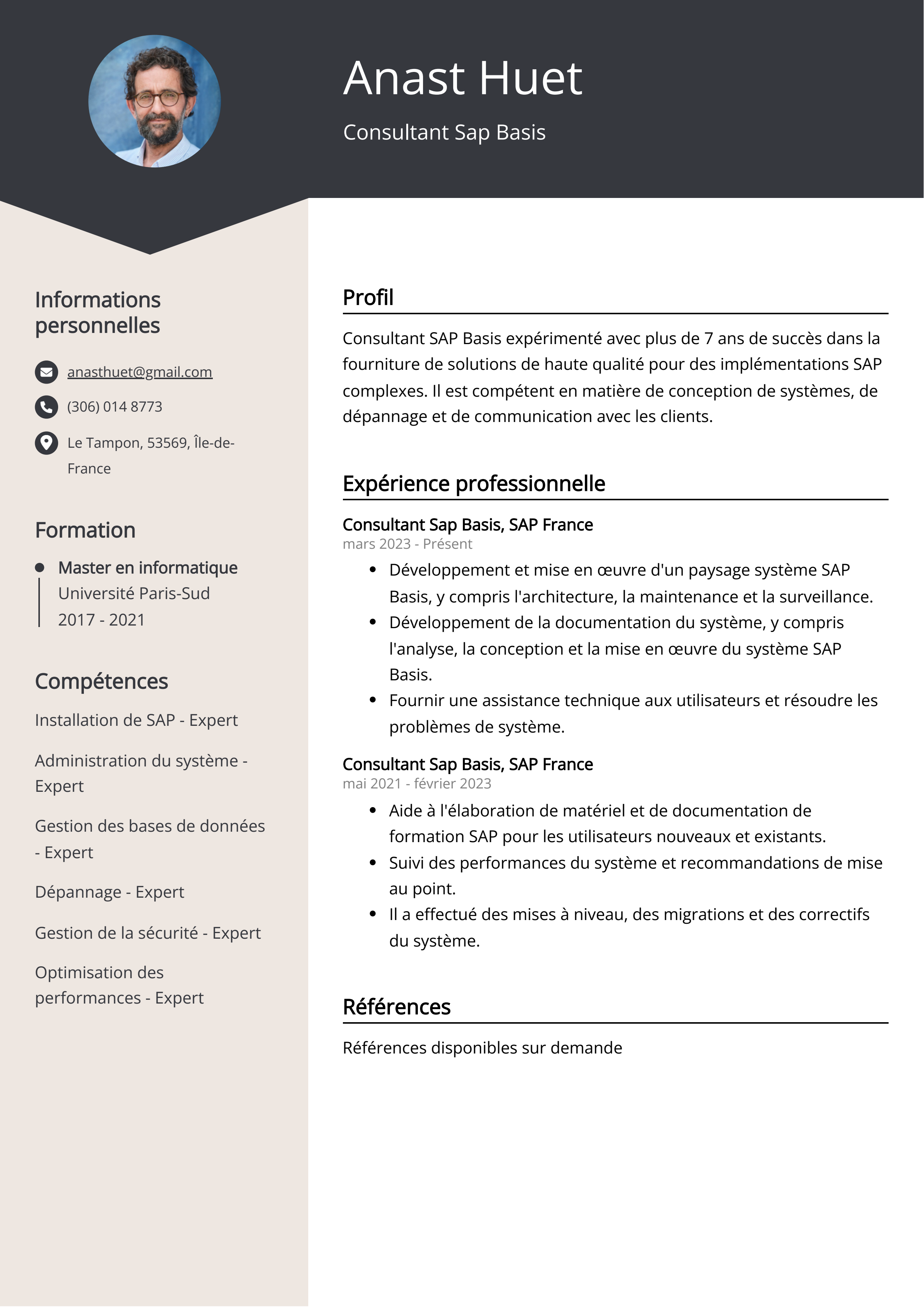 Consultant Sap Basis Exemple de CV