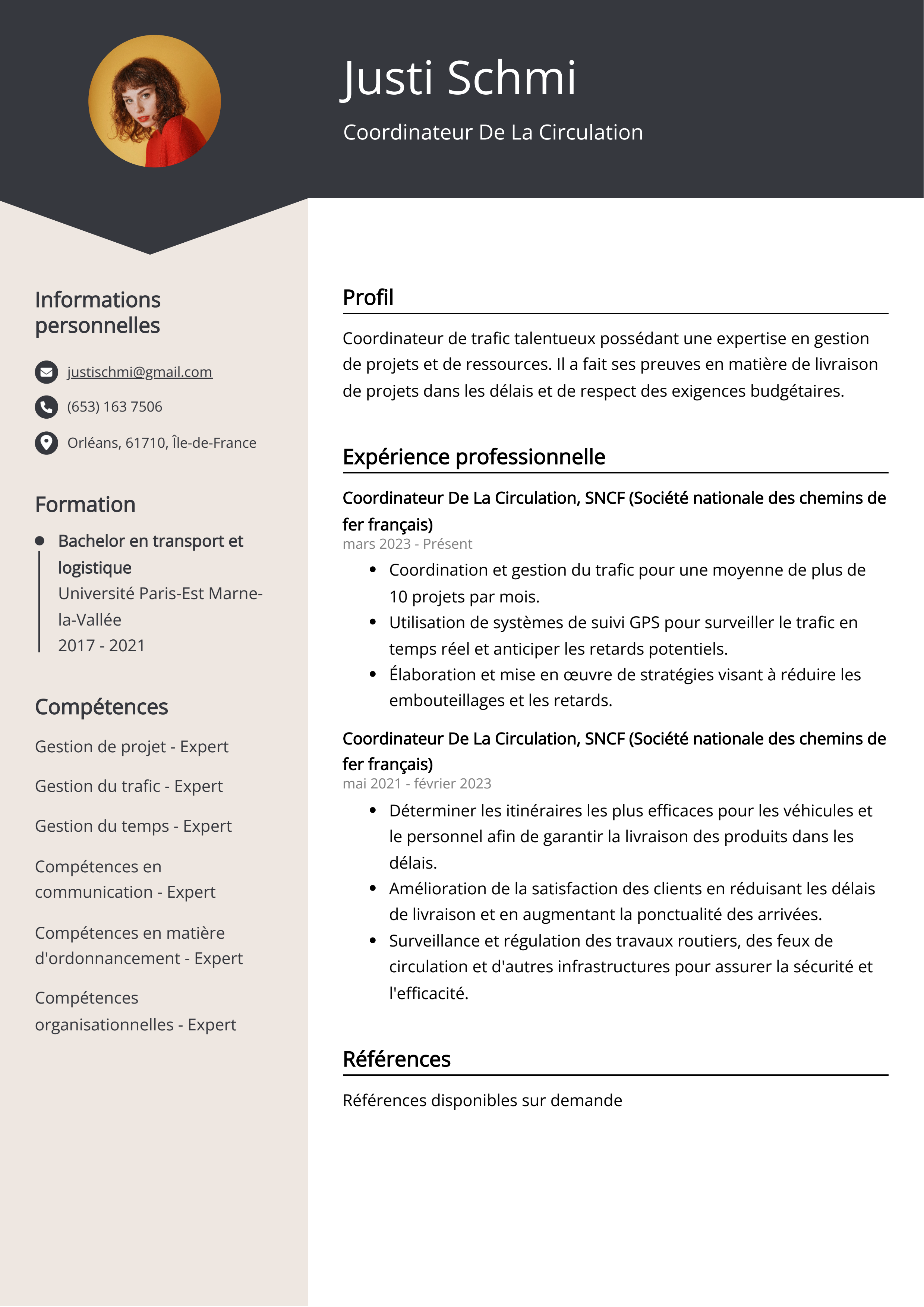 Coordinateur de la circulation Exemple de CV