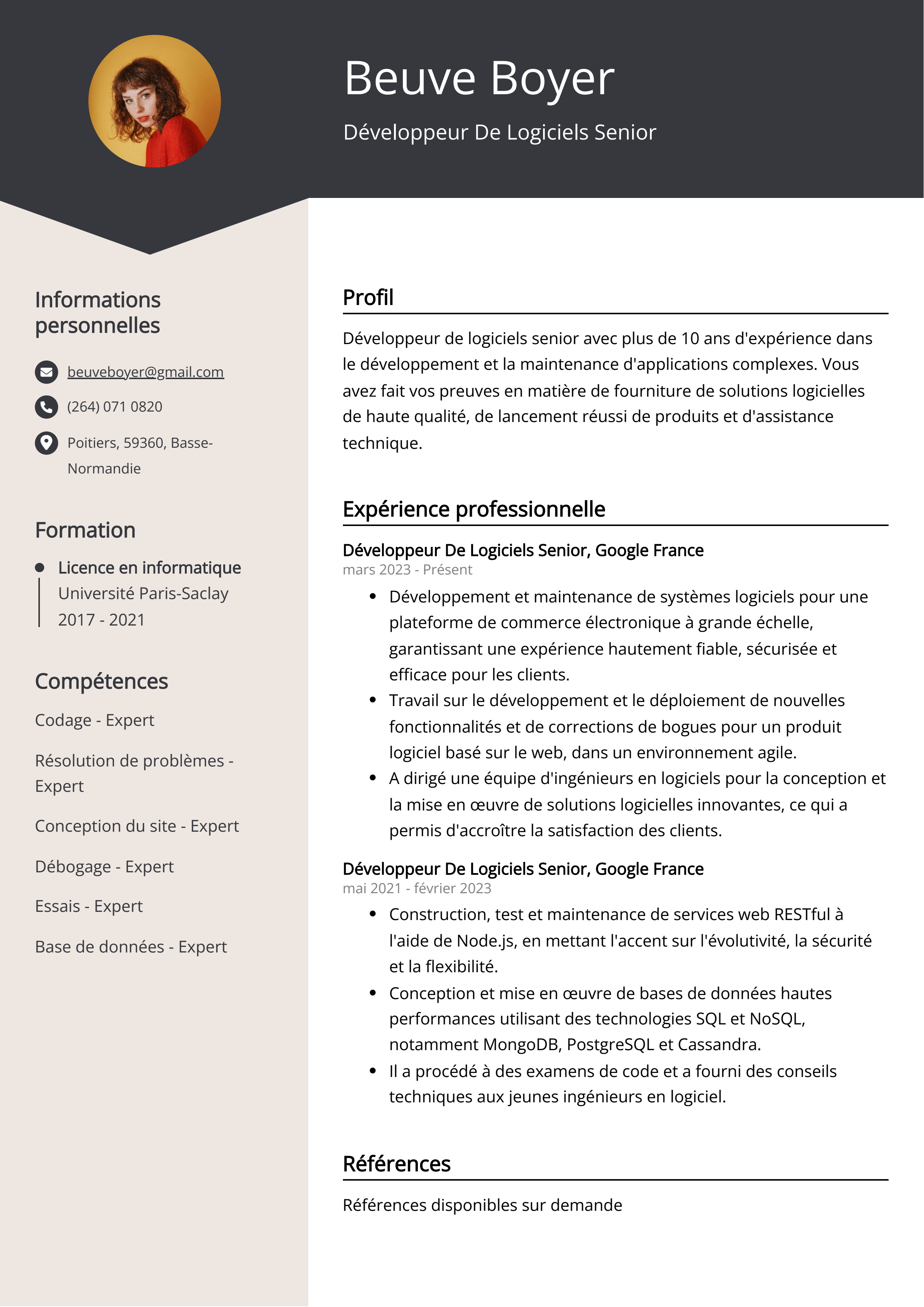 Développeur De Logiciels Senior Exemple de CV