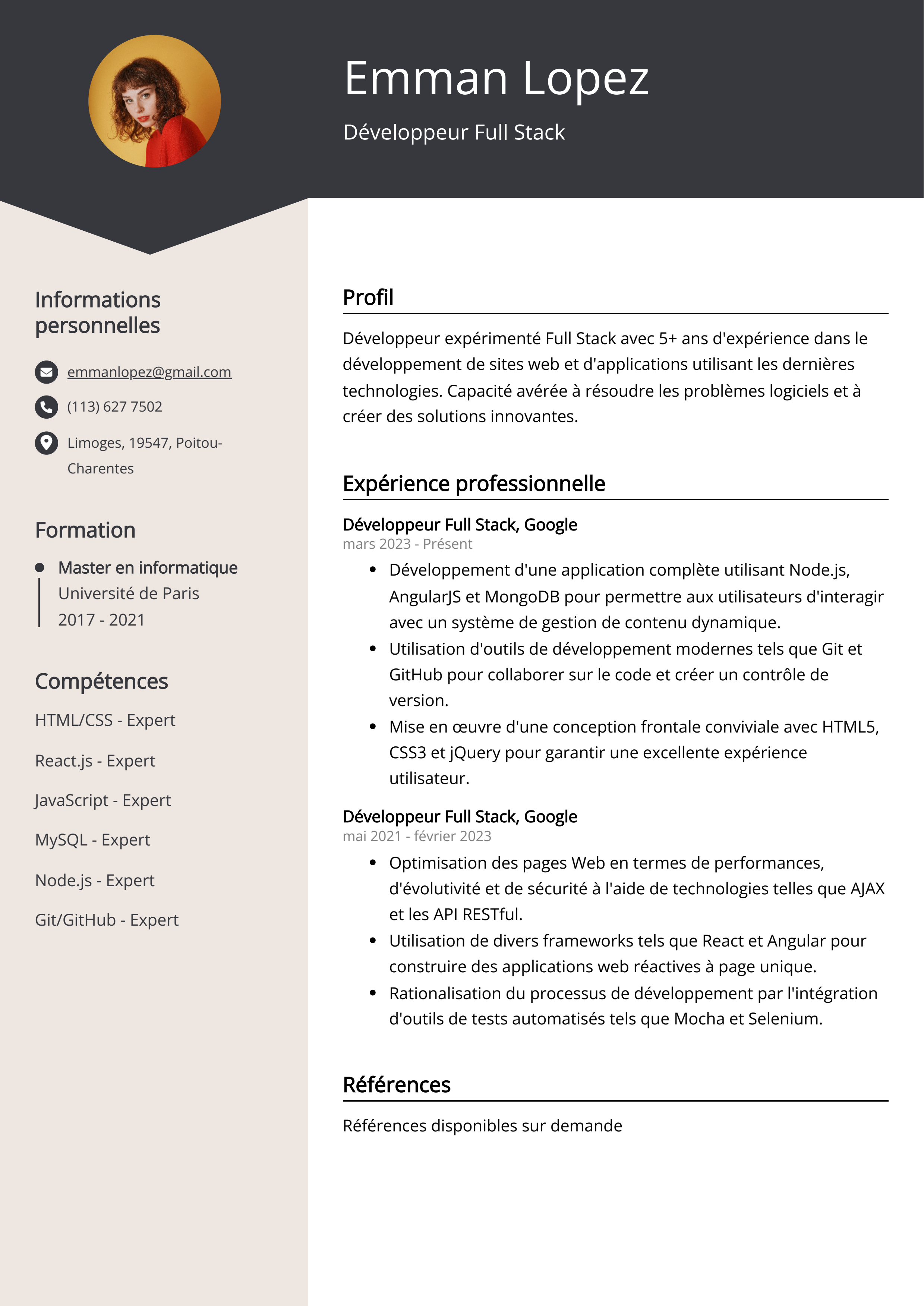 Développeur Full Stack Exemple de CV