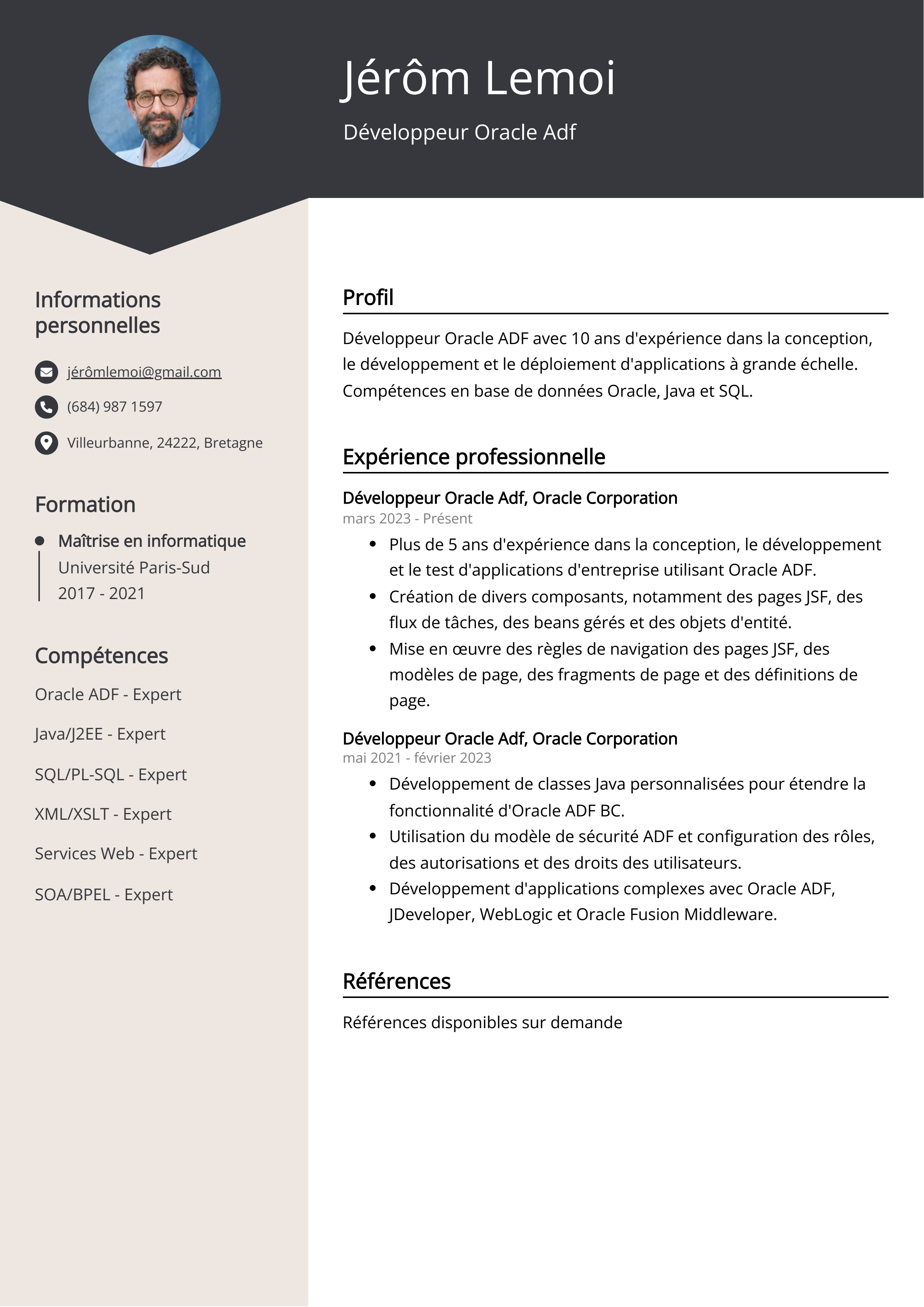 Développeur Oracle Adf Exemple de CV