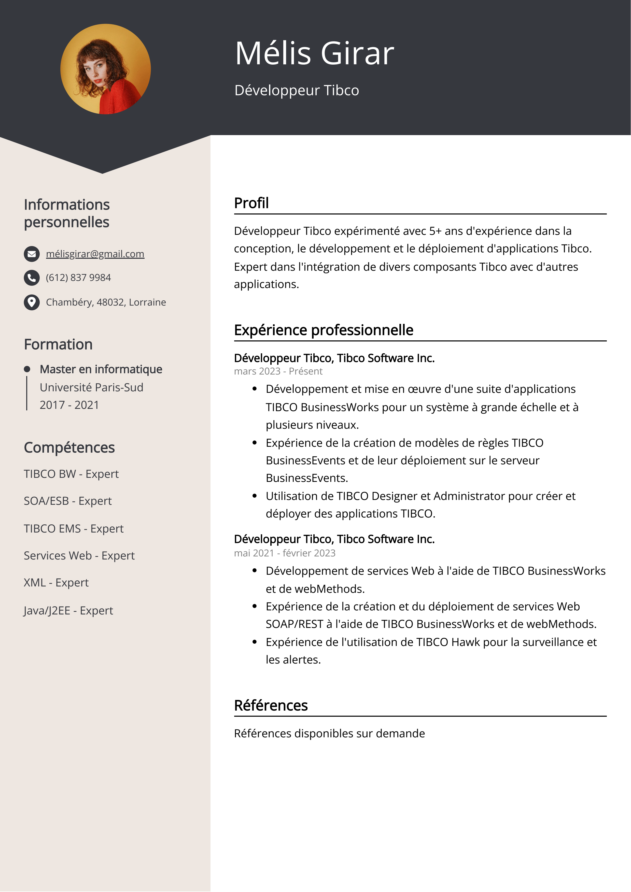 Développeur Tibco Exemple de CV