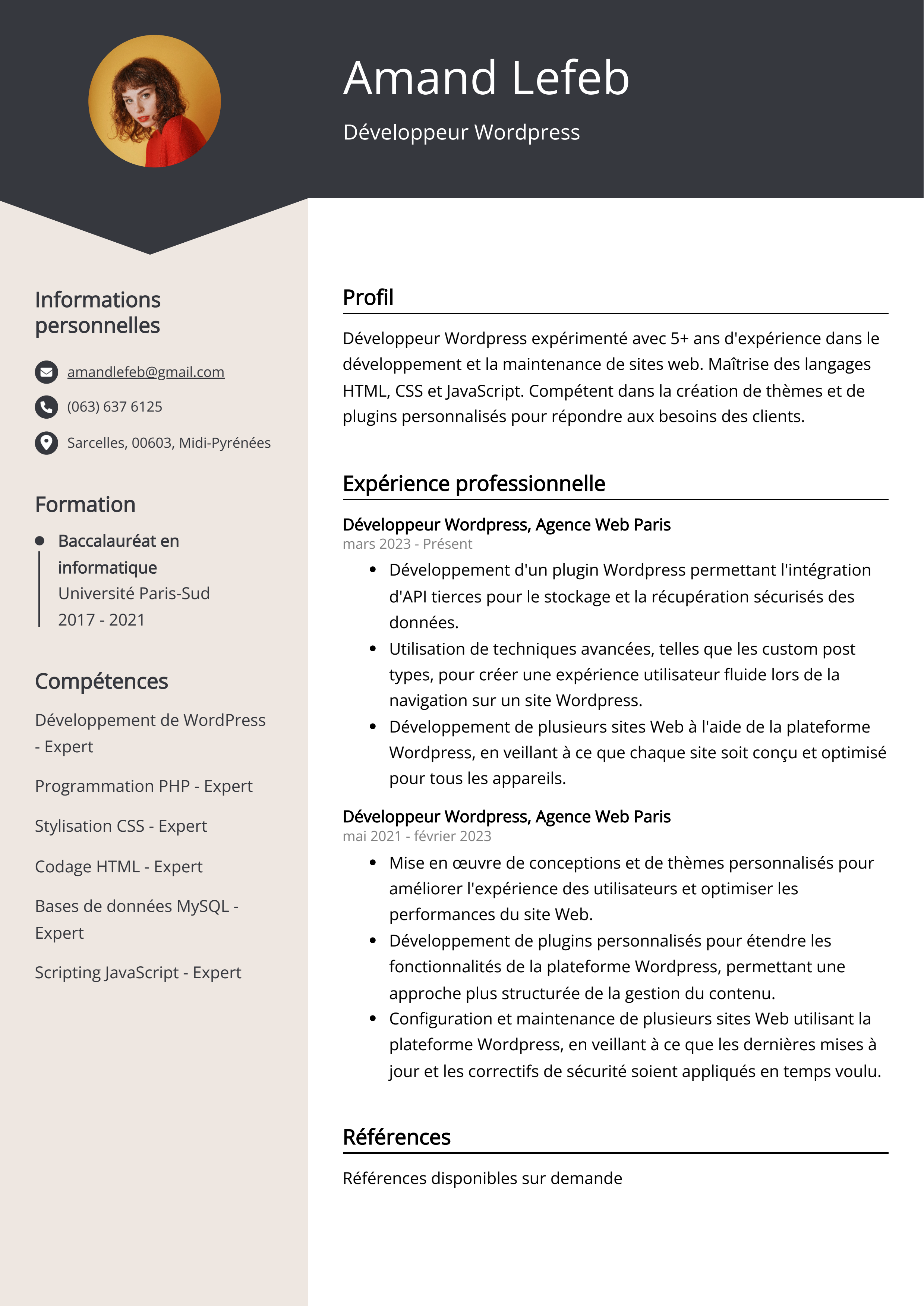 Développeur Wordpress Exemple de CV