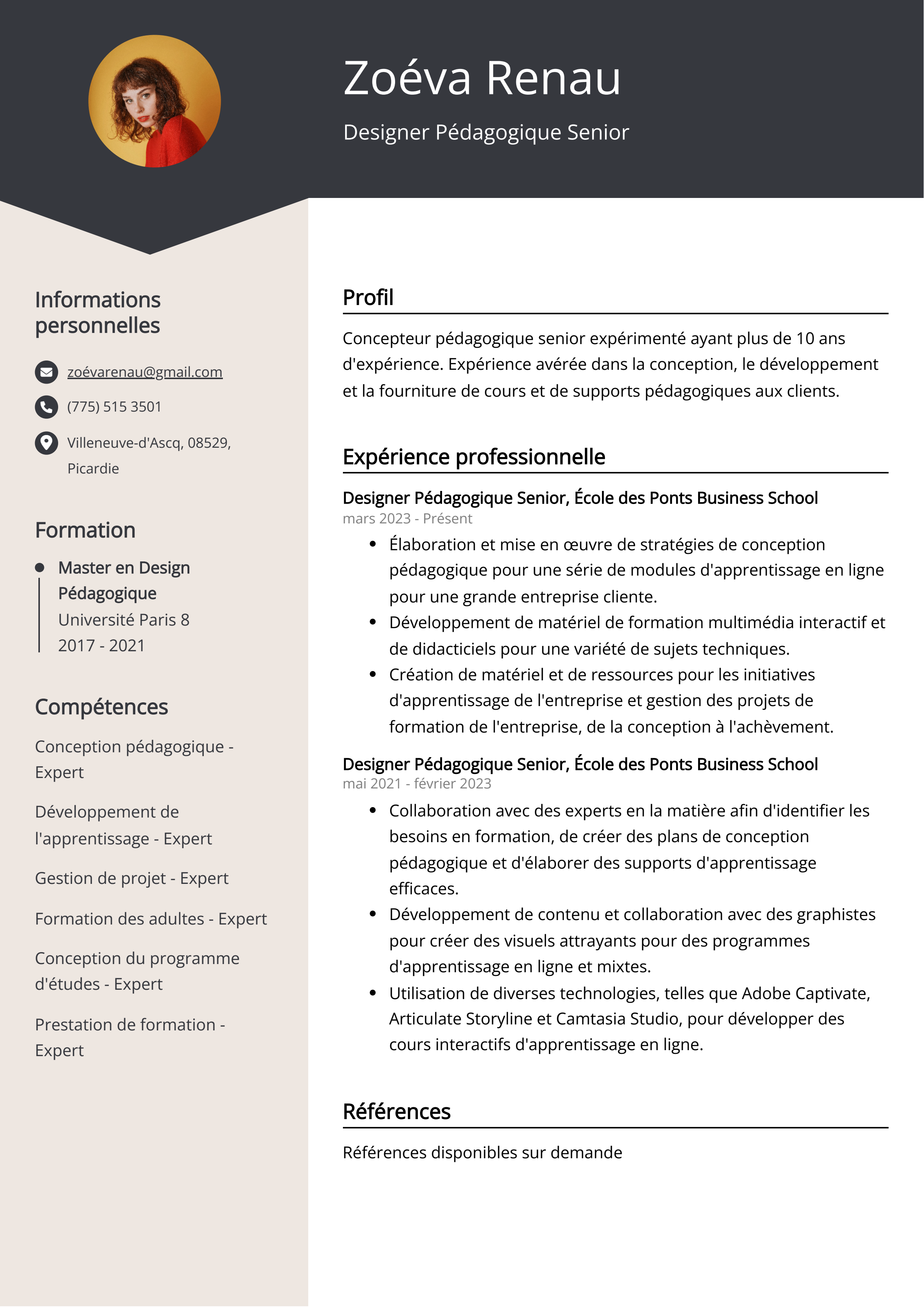 Designer Pédagogique Senior Resume Example