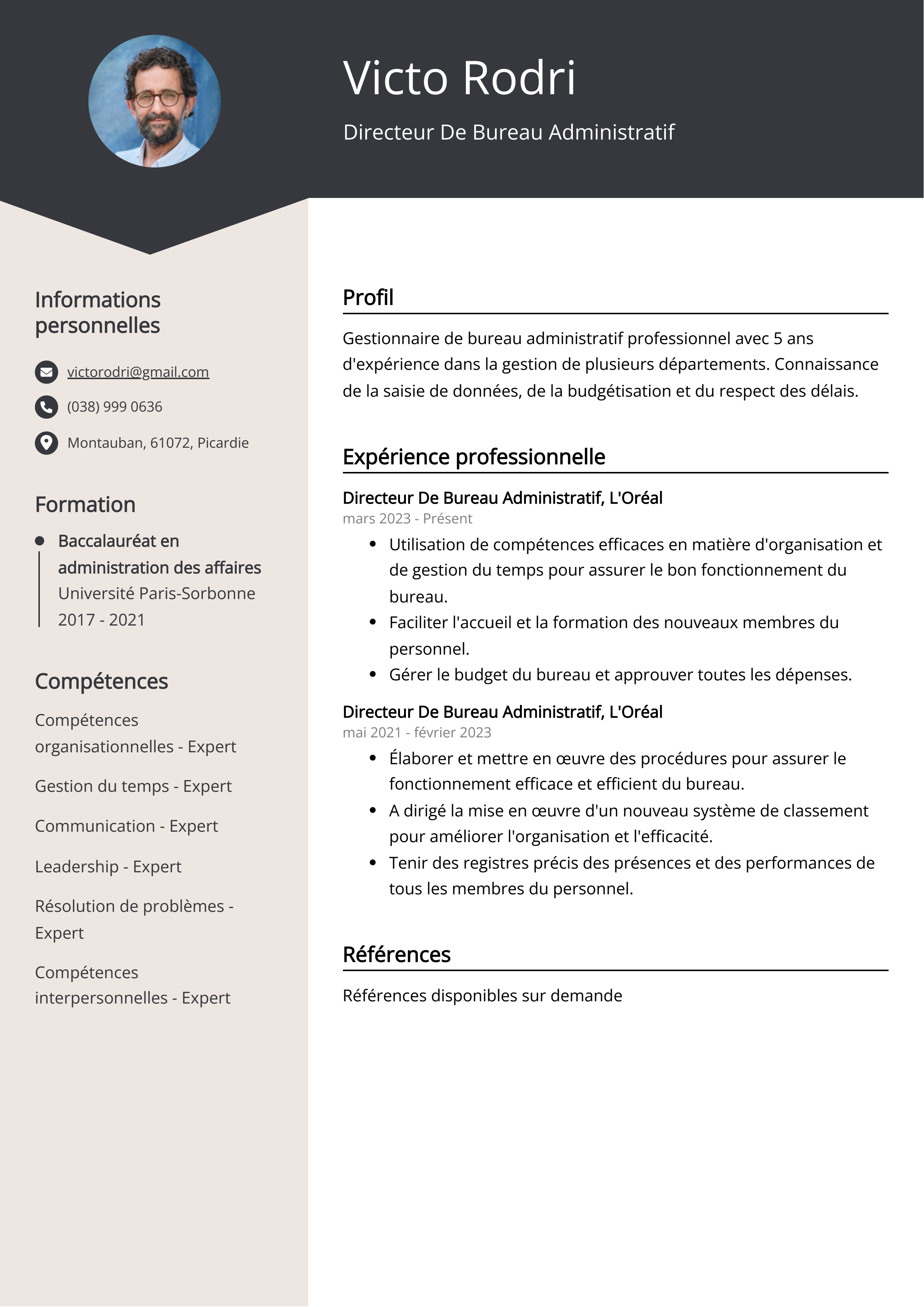 Directeur De Bureau Administratif Resume Example