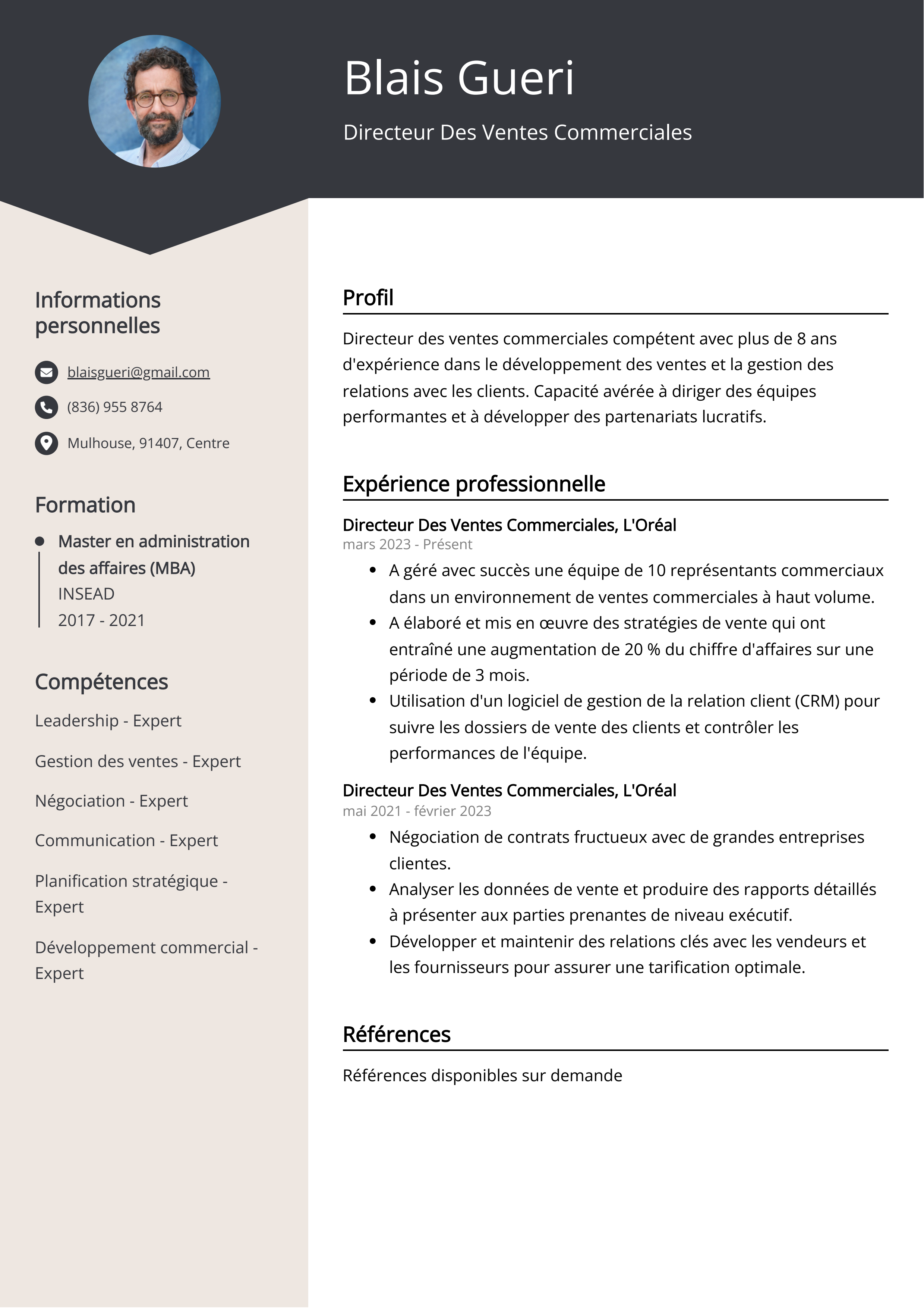 Directeur Des Ventes Commerciales Exemple de CV