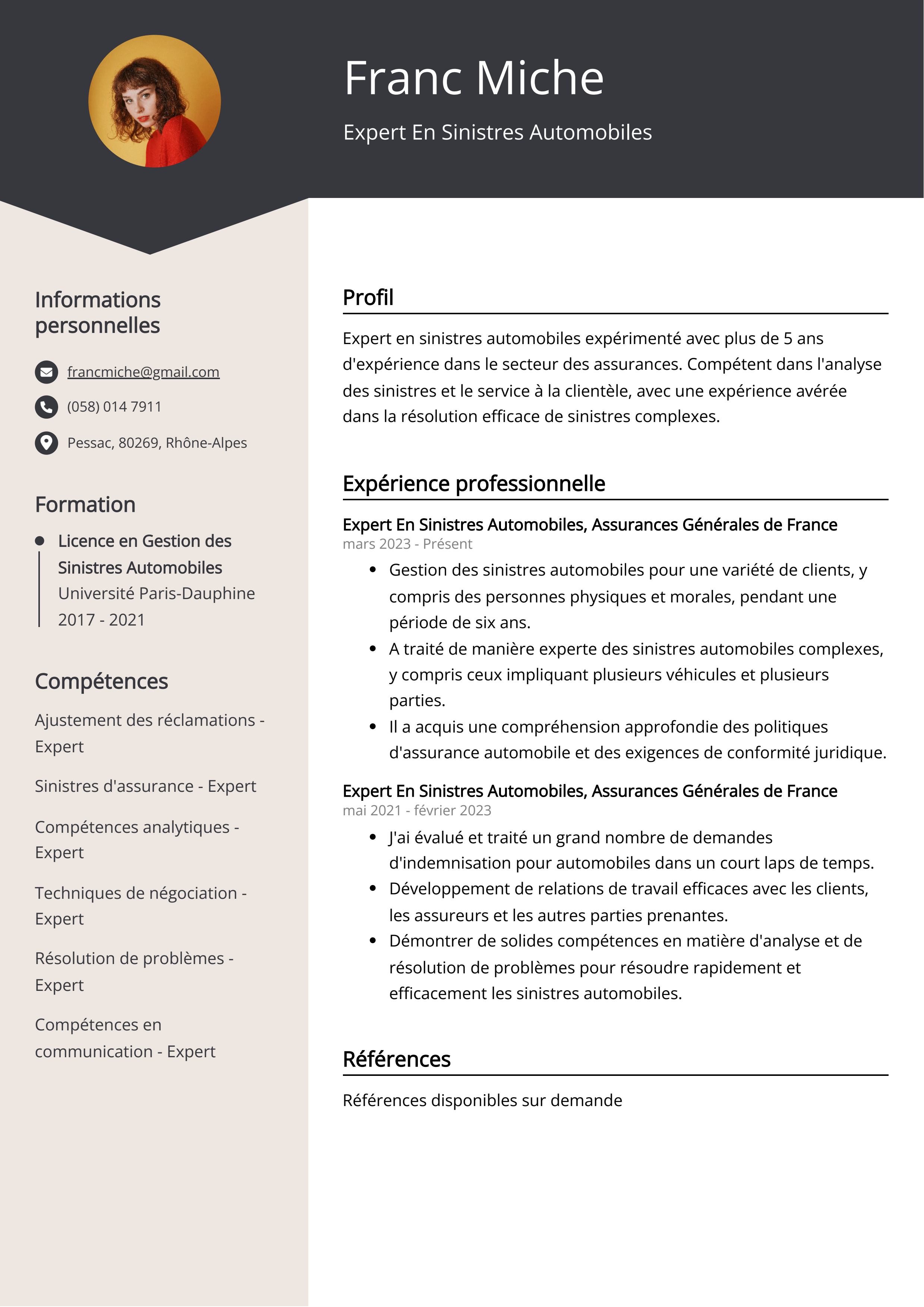 Expert En Sinistres Automobiles Exemple de CV