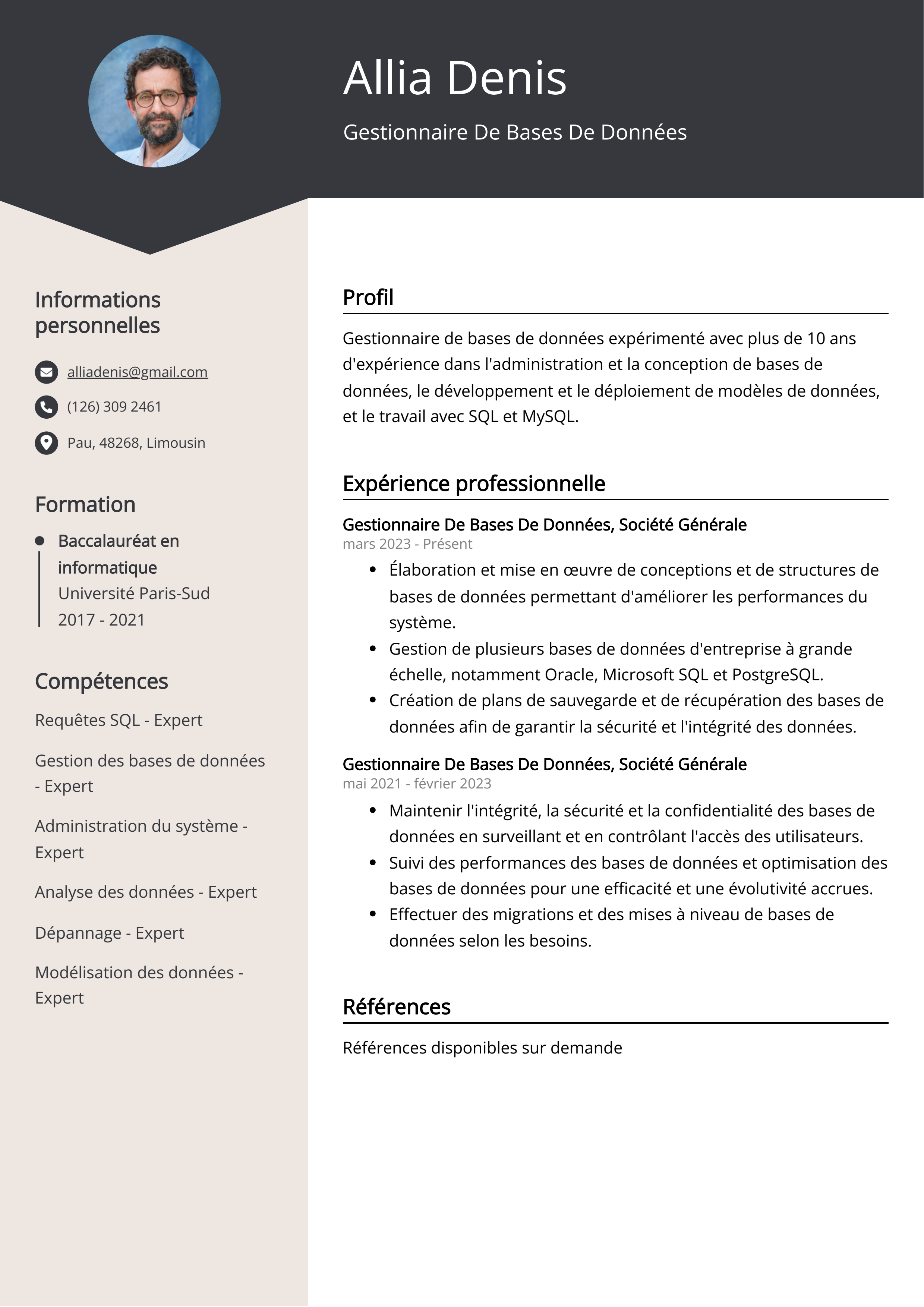 Gestionnaire De Bases De Données Exemple de CV