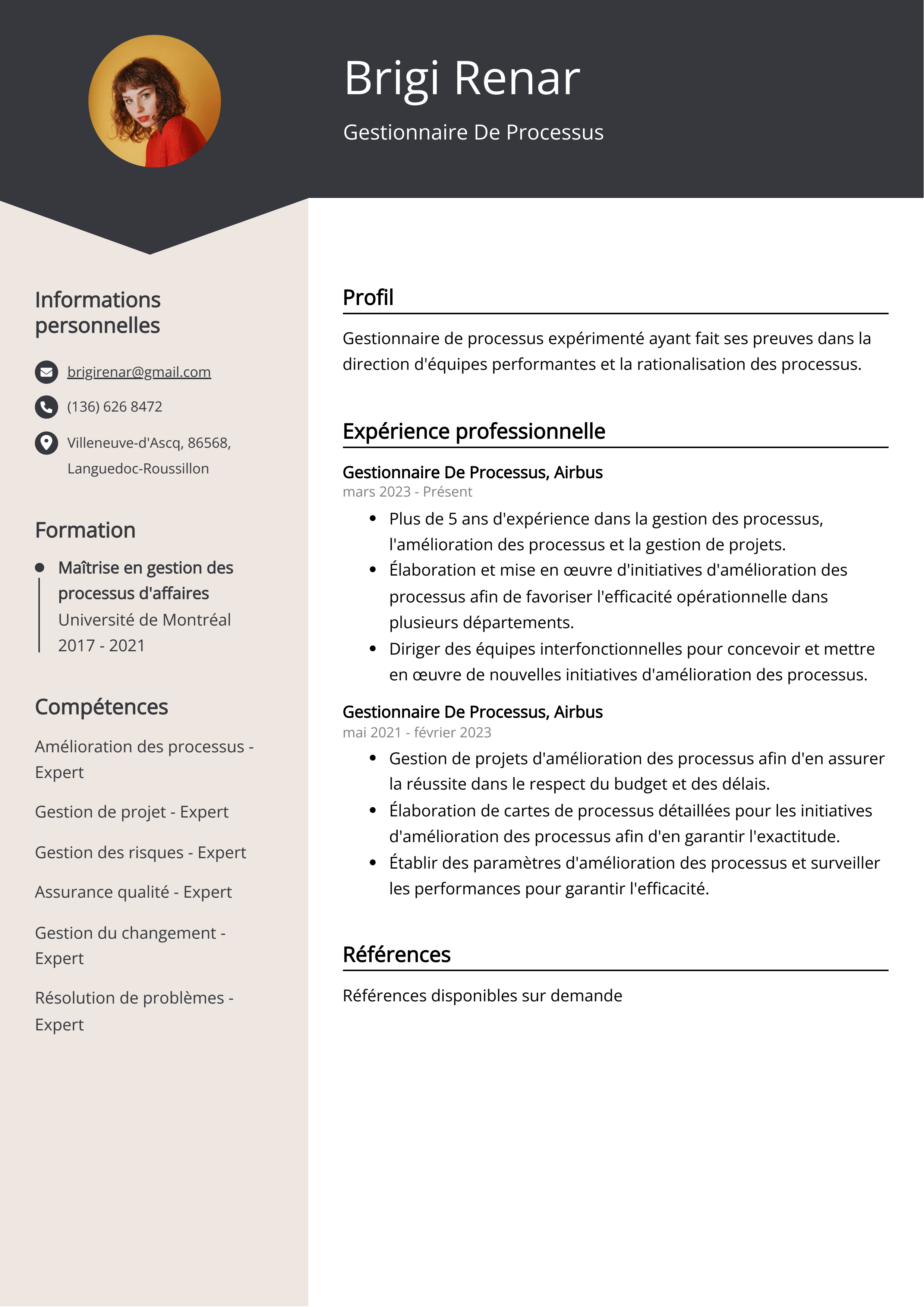 Exemple de curriculum vitae d'un gestionnaire de processus