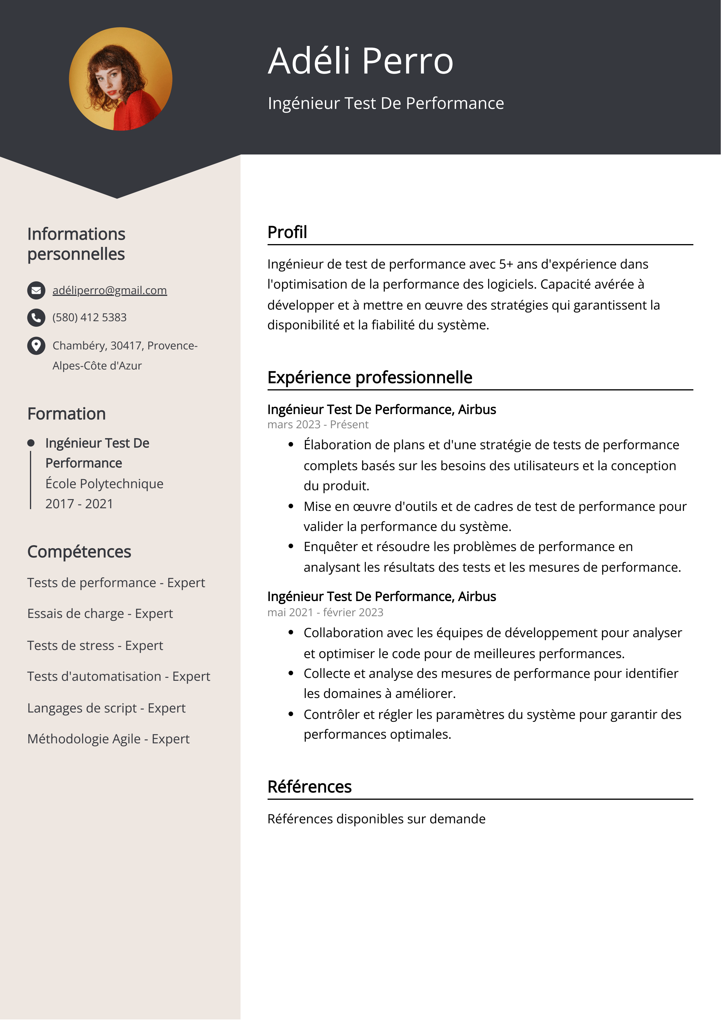 Ingénieur Test De Performance Exemple de CV