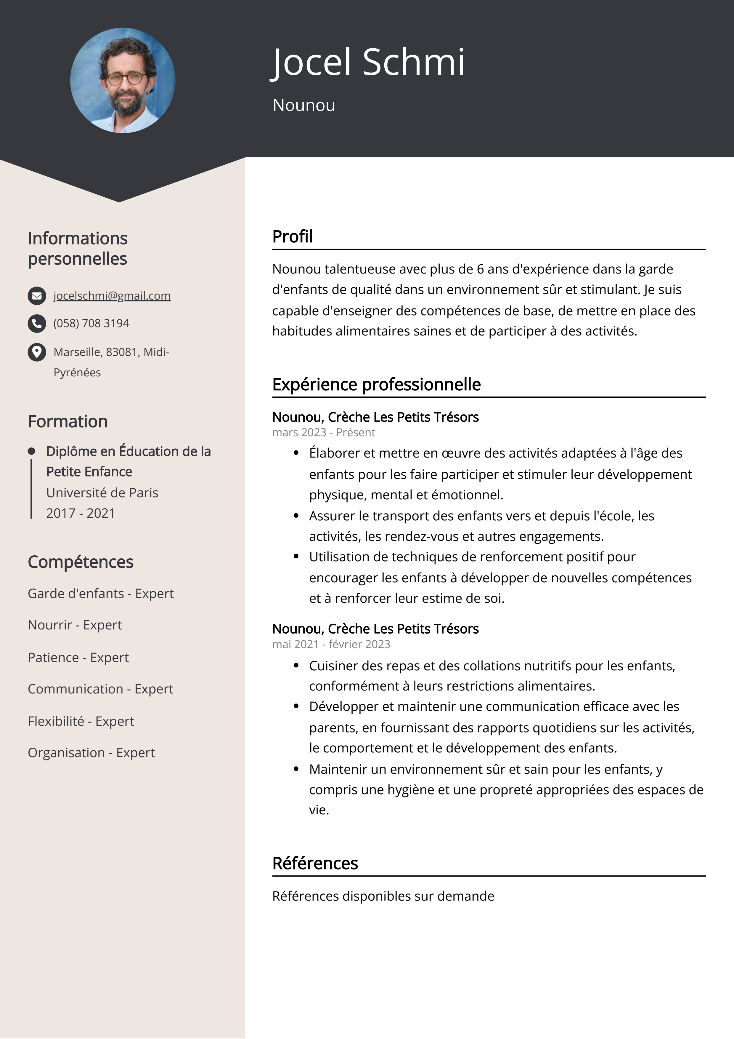 Exemple de curriculum vitae de Nounou