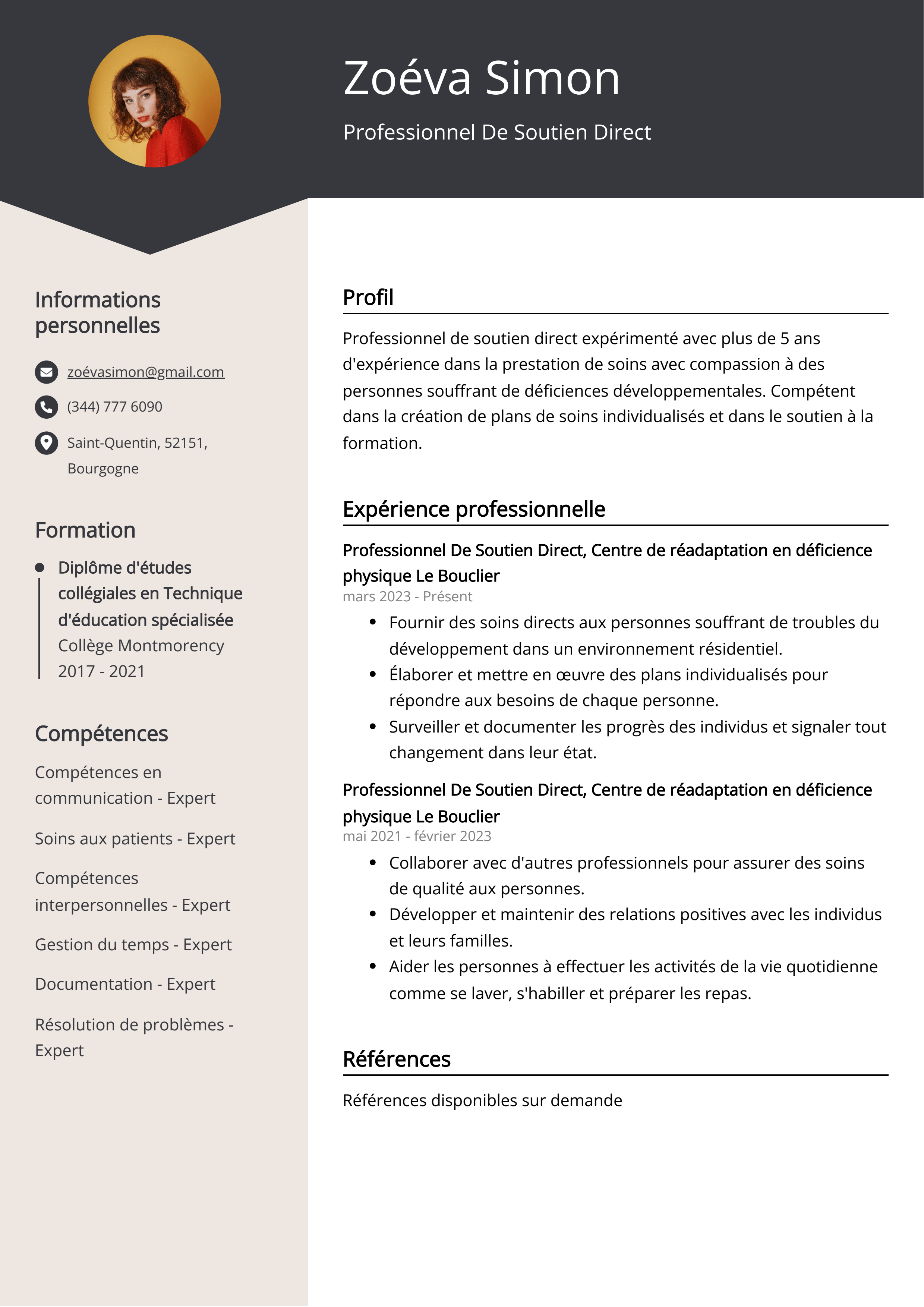 Professionnel De Soutien Direct Exemple de CV