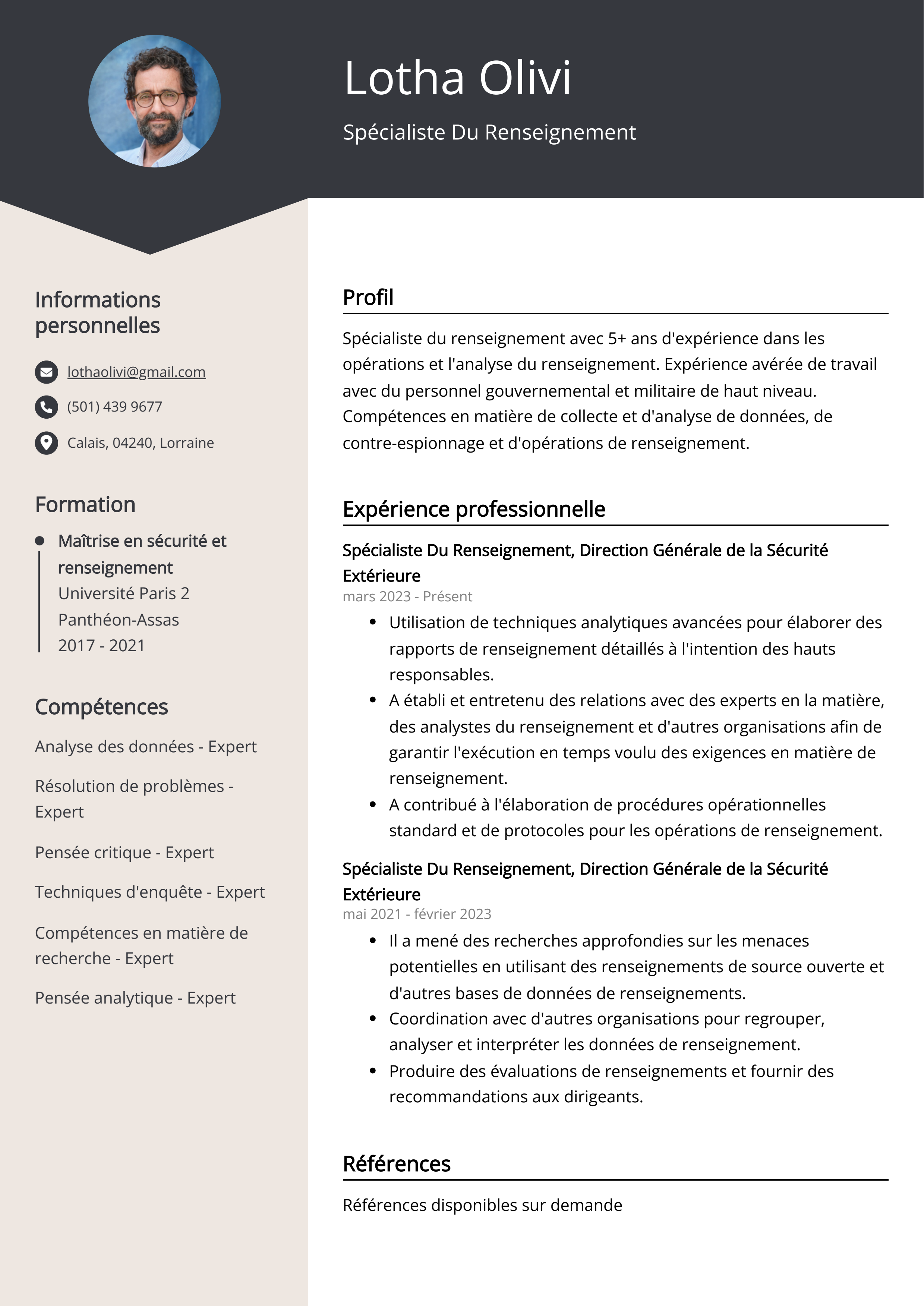 Spécialiste Du Renseignement Resume Example