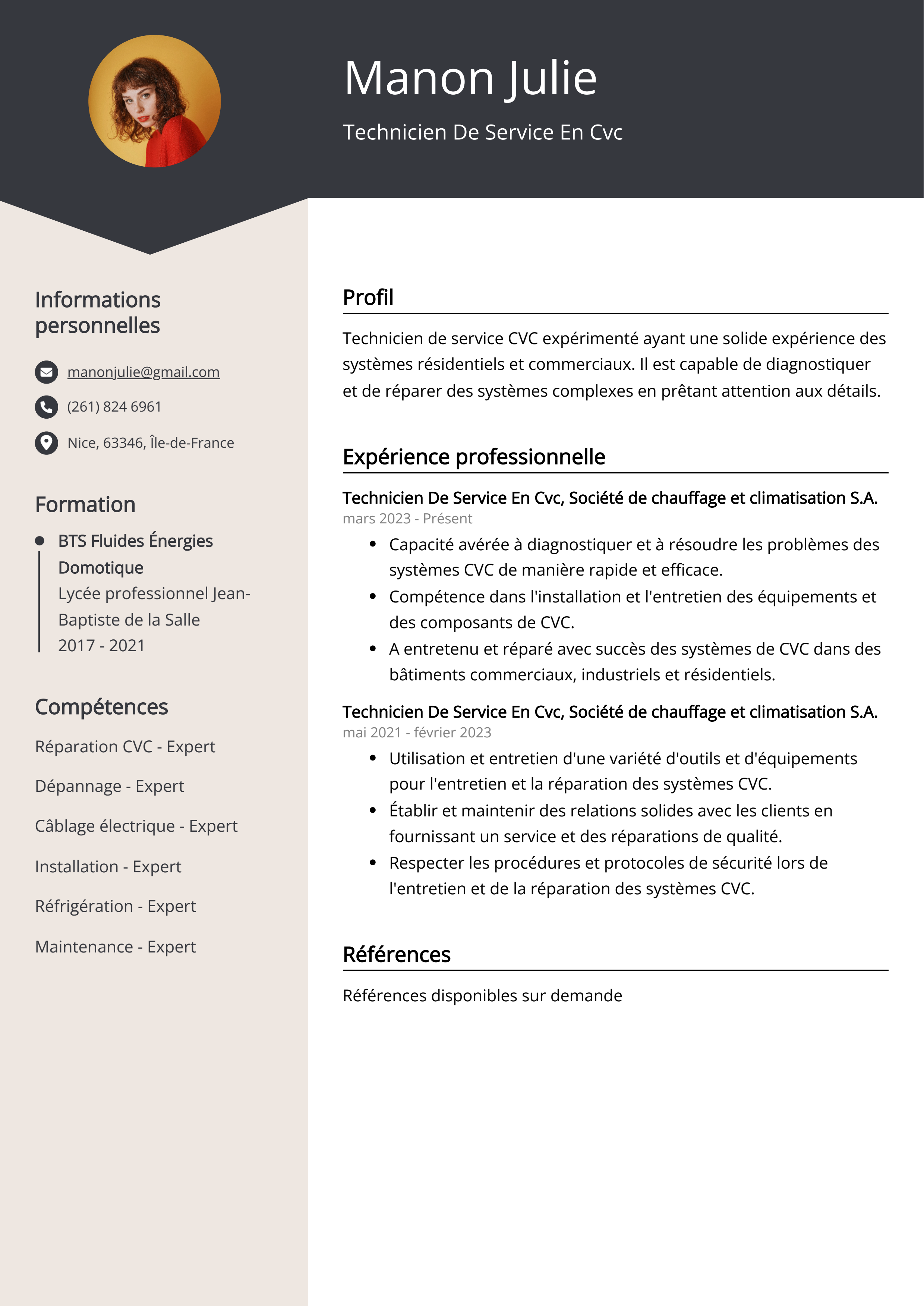 Technicien De Service En Cvc Resume Example