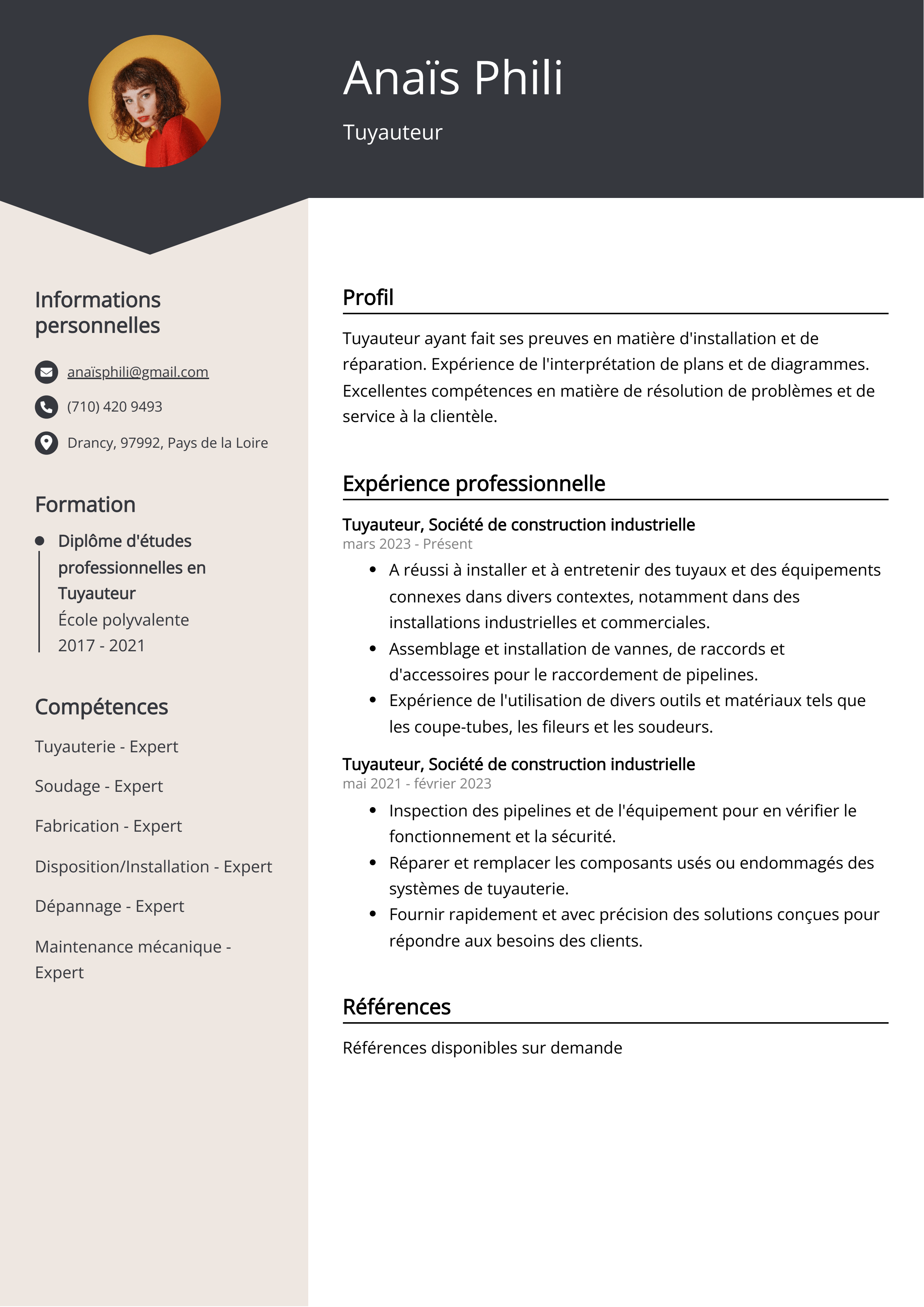 Exemple de curriculum vitae d'un tuyauteur