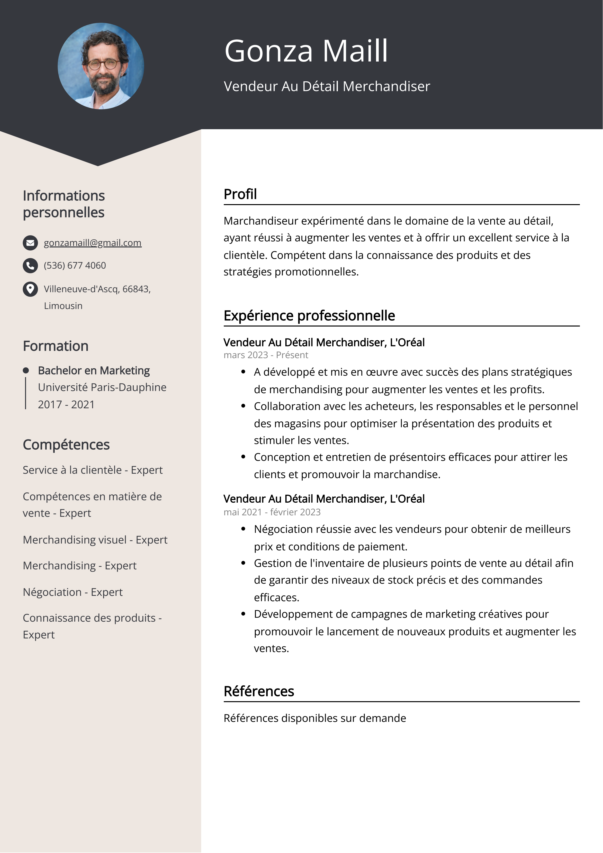 Vendeur Au Détail Merchandiser Resume Example