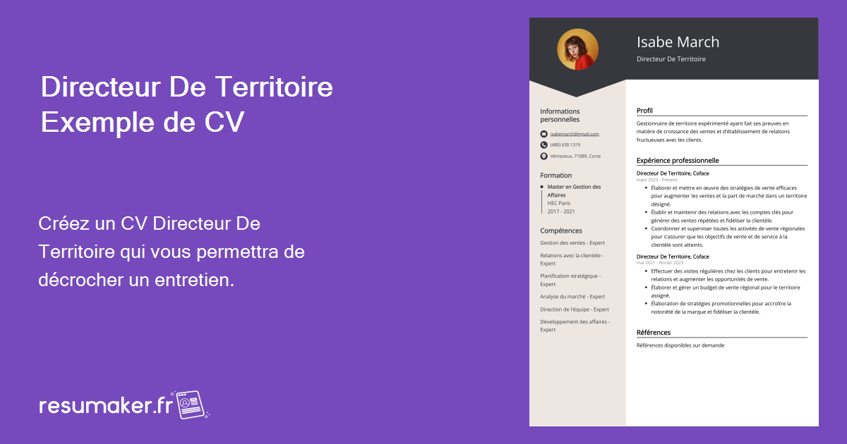 Exemples De Cv Directeur De Territoire Mod Le Et Conseils